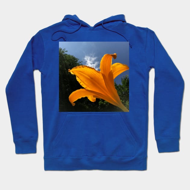 Orange Daylily against blue sky, summer garden Hoodie by djrunnels